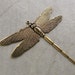 1 Dragonfly Charm, Trinity Brass Co. Antique Gold, Large Focal Pendant Drop, Highly Detailed, 49 x 43mm