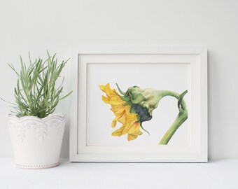 Sunflower print of watercolour painting S090DL, downloadable print, digital print, Sunflower watercolour painting print
