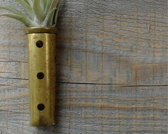 Hang Pictures Air Plant Holders