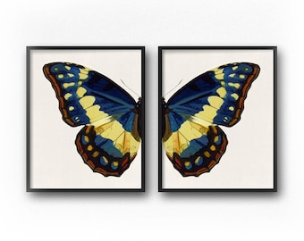 Blue Butterfly Wall Art Print Set Of 2 Downloadable Prints Blue Butterfly Wall Art Print Set Of 2 Downloadable Prints