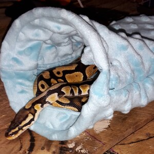 Lucky Reptile Cozy Cave Mittel - Naturlook Höhle Für Terrarien, 23x16,5x7,5cm