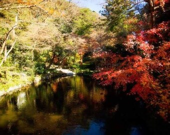 Reflections of Colour