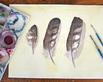 Cooper's Hawk Feathers Study - Large Watercolour Original