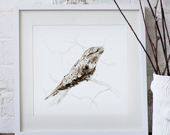 Tawny Frogmouth Art Print Bird Watercolour Illustration giclee art print Australian native bird