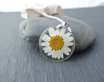 Real Daisy Necklace Pressed Flowers pendants Botanical Jewelry Real dried flower Pendants Eco Resin Pendant Eco Necklace Natural necklace