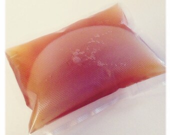 Jun "Honey" Scoby - Live Probiotic Culture for Homebrew Jun Kombucha Tea (Fed Organic Non-GMO Green Tea & Raw, Unpasteurized Honey)