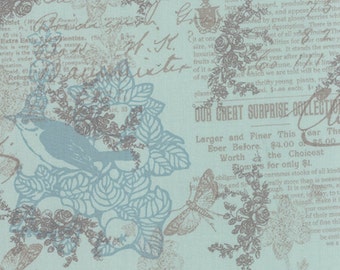 Once Upon A Chicken Fabric, Chicken Aqua Blue Fabric, Mary Jane Butters, Moda Fabrics, End of the Bolt, 14", 11634 13