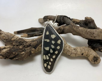 Butterfly jewelry, real butterfly jewelry, Real Butterfly Wing Necklace, butterfly Pendant, handmade real butterfly pendant