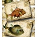 Silly Fish Postcard ATC's - Digital Collage Sheet