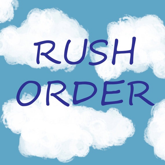 Rush order - Personalized Baby Blanket - Minky Baby Blanket