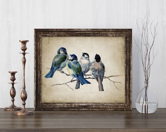 Blue Birds Print - Bird Poster - Bird Illustration - Vintage Bird - Digital Art - Printable Art - Single Print #131 - INSTANT DOWNLOAD