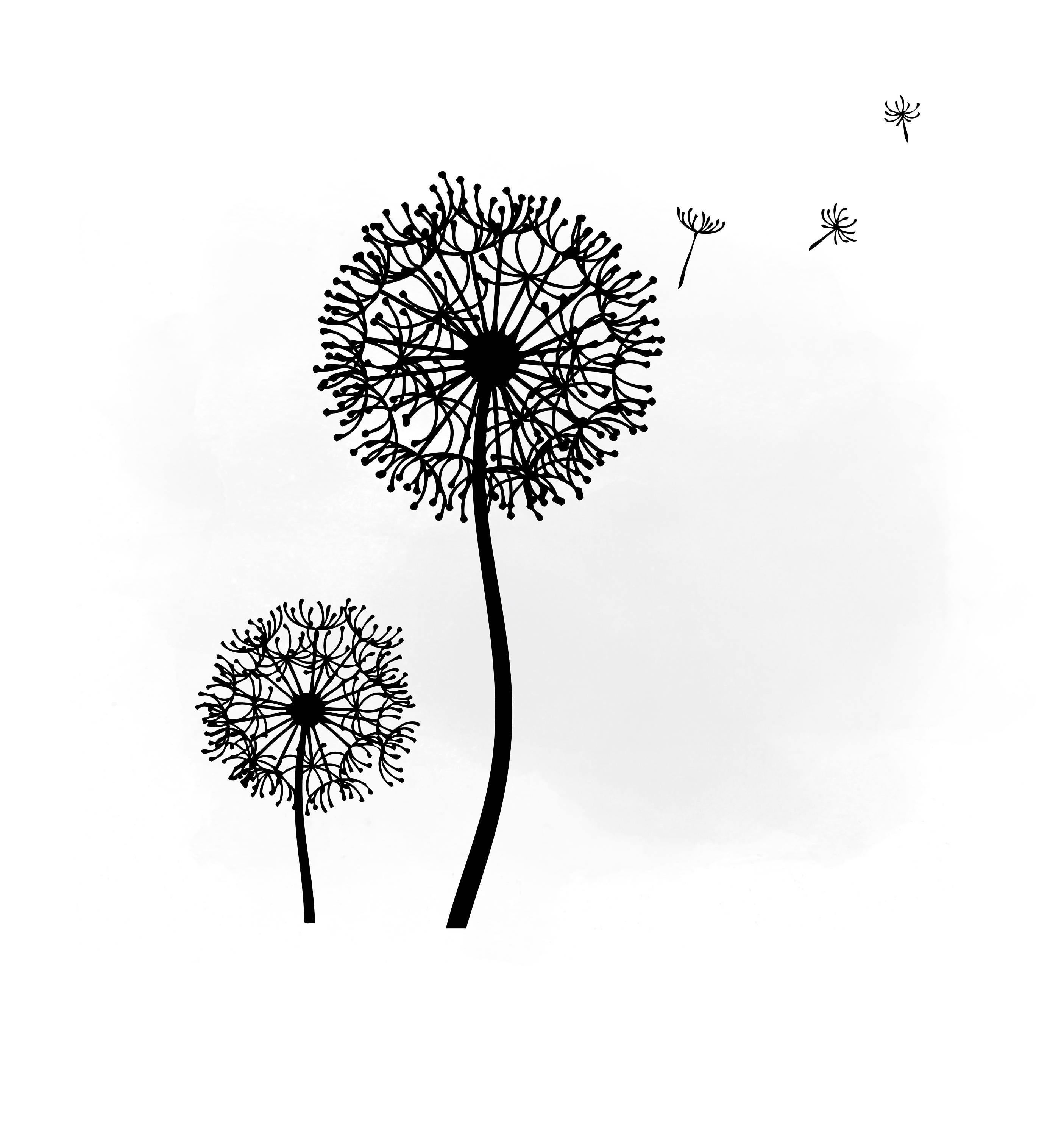 Dandelion Svg Clipart Dandelion Svg For Silhouette Svg For