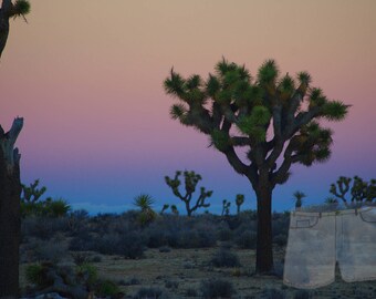 Joshua Tree National Park, CA