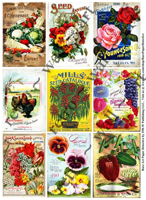 Printed Seed Packets 9 Seed Catalog Covers Antique 1890-1910