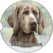Weimaraner Car Coaster. Made from super adsorbent sandstone material to protect your vehicle from beverage spills