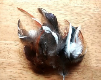 Cruelty free feathers, 25 assorted feathers. Variety pack!