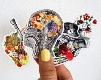 Anatomy stickers set, Human brain, heart and lungs flowers, laptop stickers,Decal stickers, Medical student science STC001