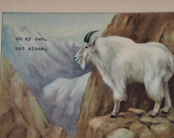 Mountain Goat - Vintage Animal Print (1927) with Original Typewriter Message - On my own, not alone.