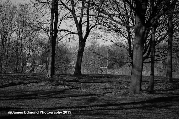 Nature Photography, Around the Park, Park Photography, Wall Art, City Park, Nature prints, Nature Wall Art, 7x5, 10x8, small prints, Glasgow