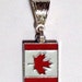 CANADA FLAG CAnaDA Pendant European Charm, WOrld Cup Championship OLYmpiCs SochI 2014 Bracelet Necklace Save 3/6.95 Collect them all