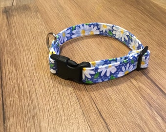Cute summertime blue collar with white daisies