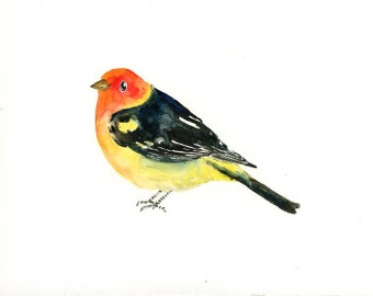Western tanager painting, Bird art, bird watercolor, animal art, original watercolor painting 10X8inch