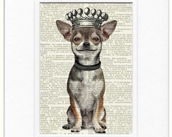 chihuahua, smiling and crowned print