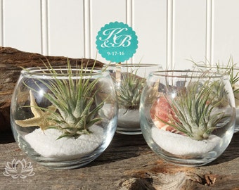 Tillandsia Beach or Woodland Votive Favors by Zentilly©