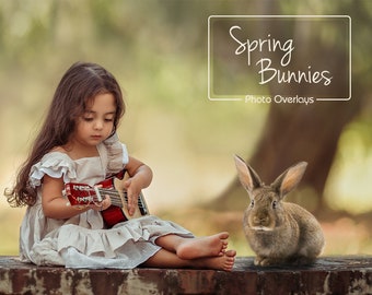 Spring Bunnies, Easter overlays, Real Animals, 10 PNG, photoshop overlay, fantasy, clip art, photoshop, Animal Overlays, Bunny Overlays