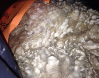 Raw White Cotswold Locks - little vm