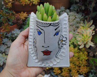 illustrated ceramic wall planter garden pocket