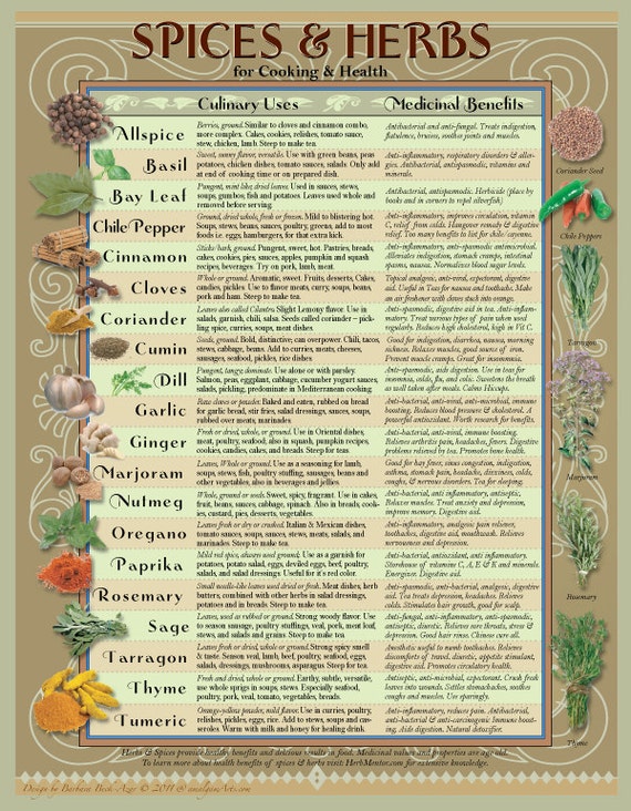 Healing Herbs & Spices Kitchen Chart on {keyword}