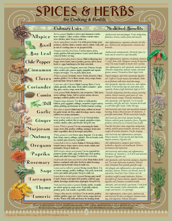 Healing Herbs & Spices Kitchen Chart on {keyword}