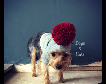The Pom Pom pet hoodie. Dog/cat/puppy sweater jumper. Choose your bobble colour. Uk seller.