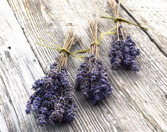 English Lavender Seed, Lavandula angustifolia Seeds, Fragrant Flower Garden, Grow Your Own Fresh Lavender