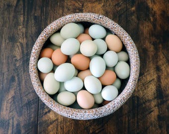 Hand Blown Free Range Chicken Easter Eggs | Light Mix - Blue, Green, Brown, | Primitive, Natural Rustic Farmhouse, Cottage Chic Décor