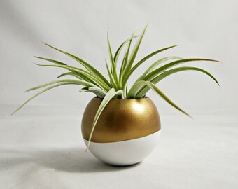 Gold + White Colorblock Air Plant Pod Planter