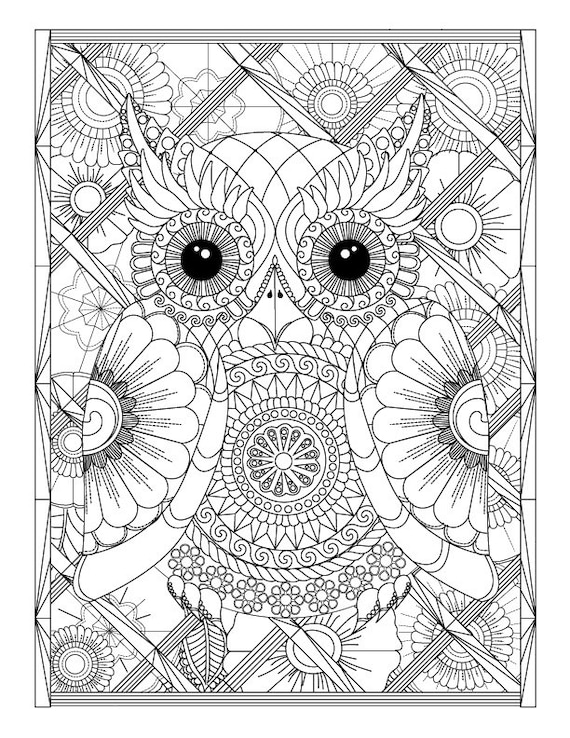 Owl and Flowers Advanced  Coloring  Page  for Adults  Printable 