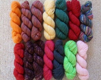 Sock Yarn Mini Skeins - 10 Grams Each, 12 Colorways - Set #2