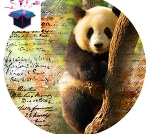 1 cabochon clear 20mm panda theme