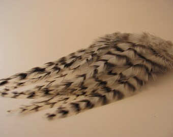 7 to 8 Inch Grizzly Rooster Saddle Hackle