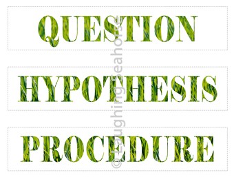 science fair project labels