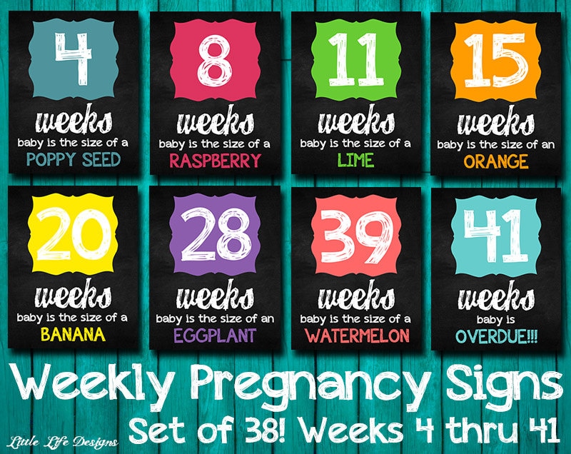 Weekly Pregnancy Signs Weeks 4 41 Pregnancy Week By Week
