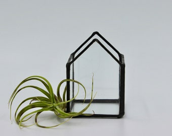 Airplant Terrarium, Glass Airplant Holder, Terrarium, Glass House, Office Decor, Airplant, Greenery, Gardening, Plants, Glass, Stained Glass
