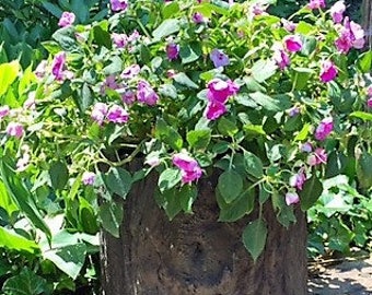 Concrete Faux Bois Planter