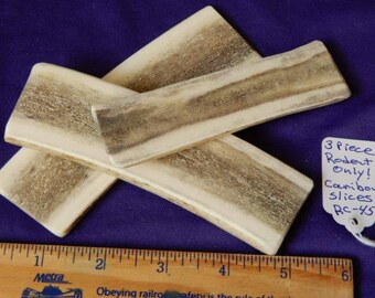 3 Piece RODENT ONLY Small Caribou Beam Slices Antler, RC-45