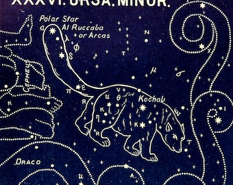 1911 Antique print of STARS. CONSTELLATIONS. Ursa Minor. Astronomy print. Zodiacal Constellations. Zodiac. 117 years old celestial chart