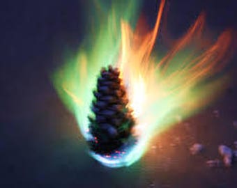 Fire Color Changing Pinecones with Decorative Bag and Fresh Pine Scent