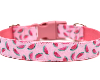 Watermelon Dog Collar 1" Summer Dog Collar