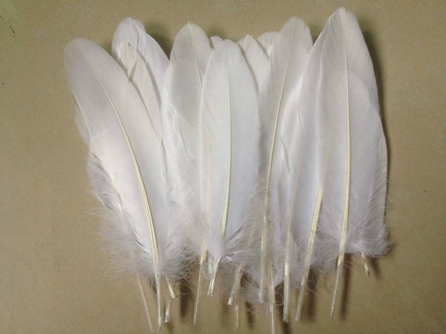 Goose feather natural 6 to 8 inches or 15 to 20 cm long